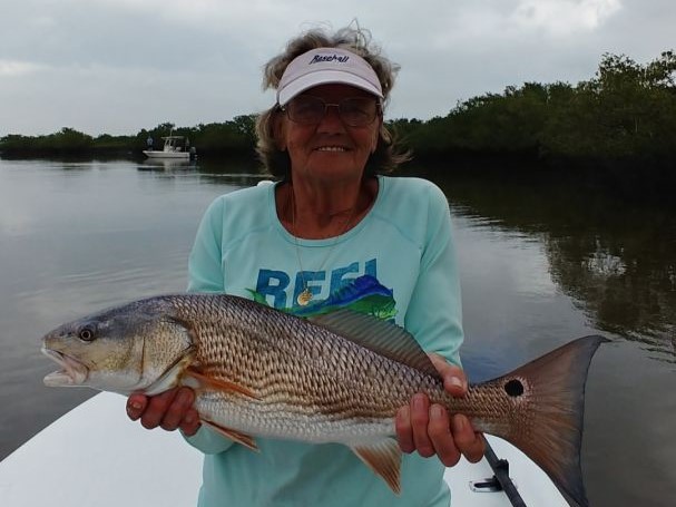 St. Augustine Redfish Beauty
